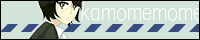 カモメ観察
